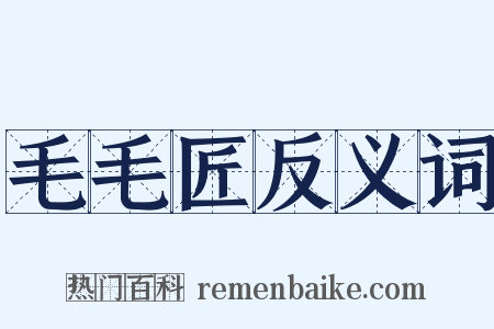 毛毛匠反义词是什么意思的图片